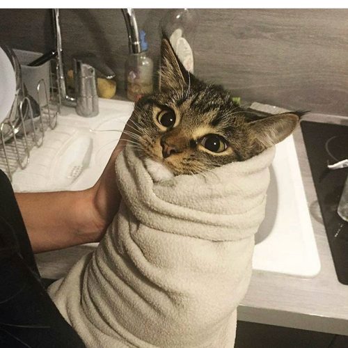 다담