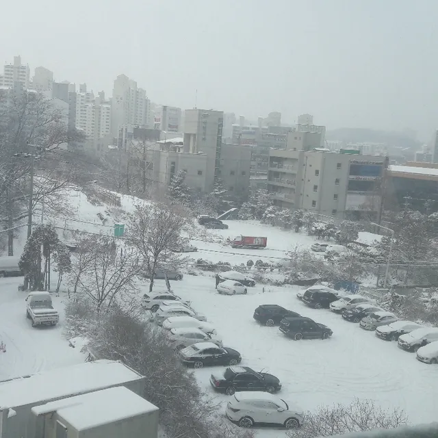 찰리달리맘