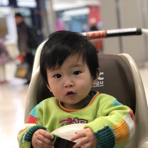 우리강산푸르게