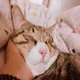 보라보라