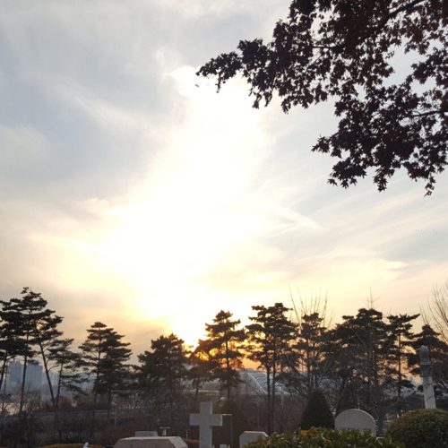 리뷰 프로필 이미지