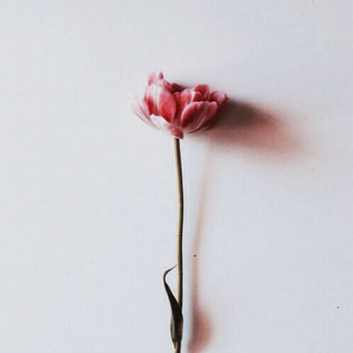 리뷰 프로필 이미지