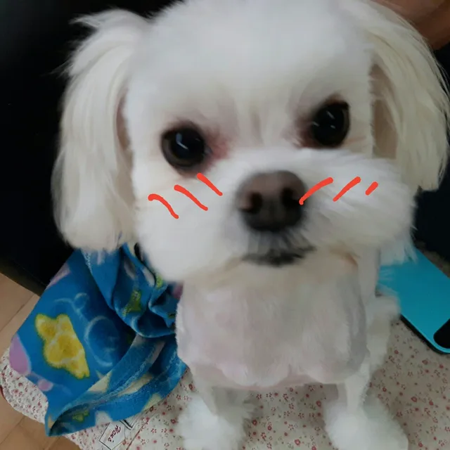 하루하루