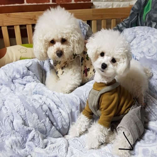 다시시작