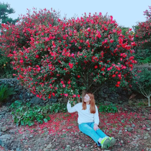 주디