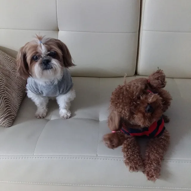초롱또순맘
