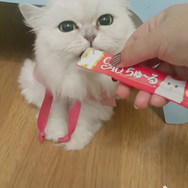 써니썬