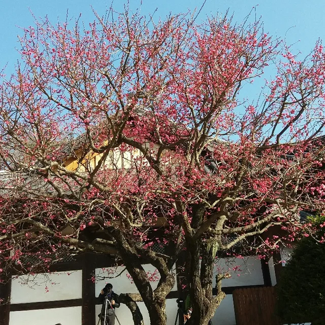 영천