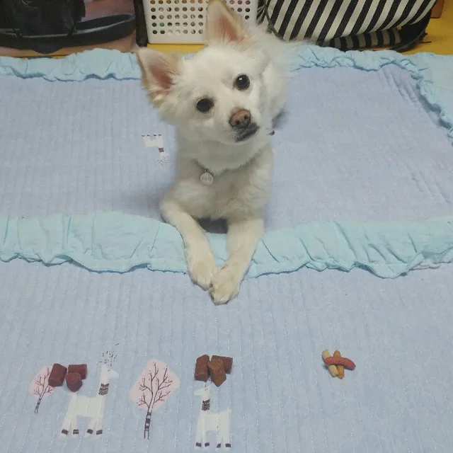마루네