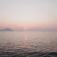 주독