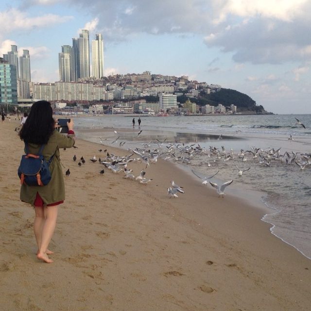 김미김미