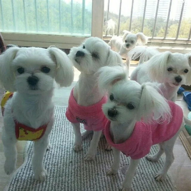에릭