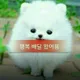 후르지아