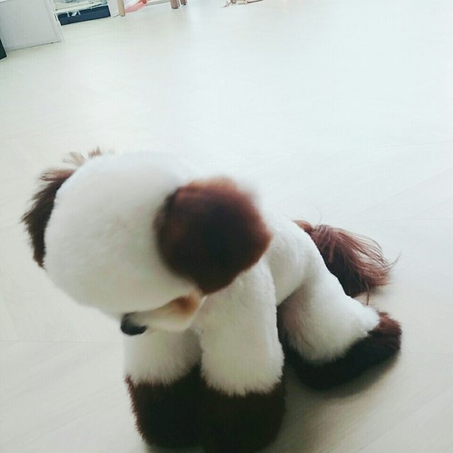 리뷰 프로필 이미지