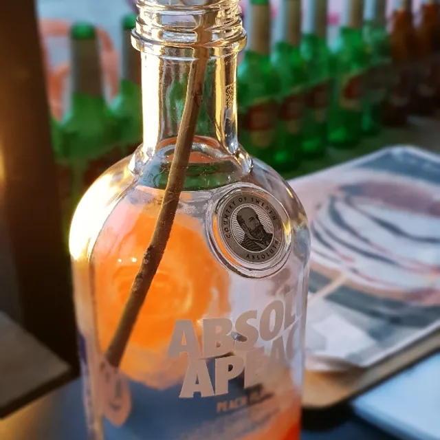 앱솔룻