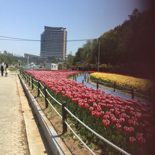 힘찬하루