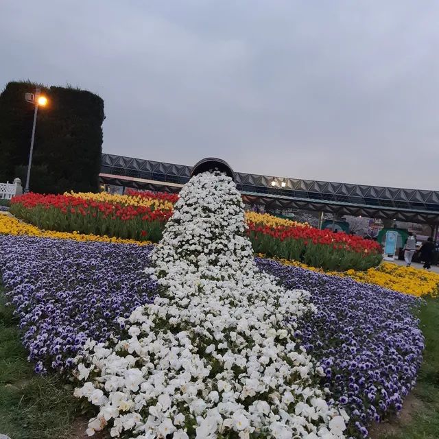 오날
