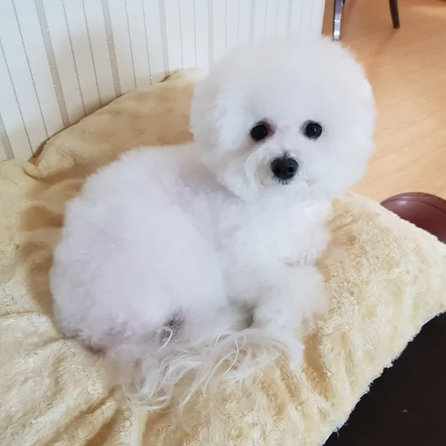 겨울맘