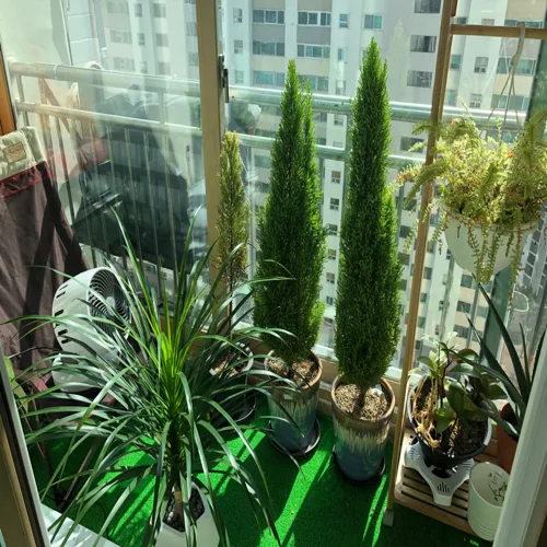 그룹