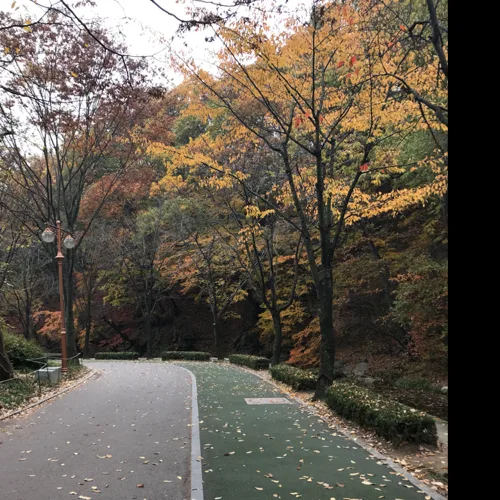 파사칼리아