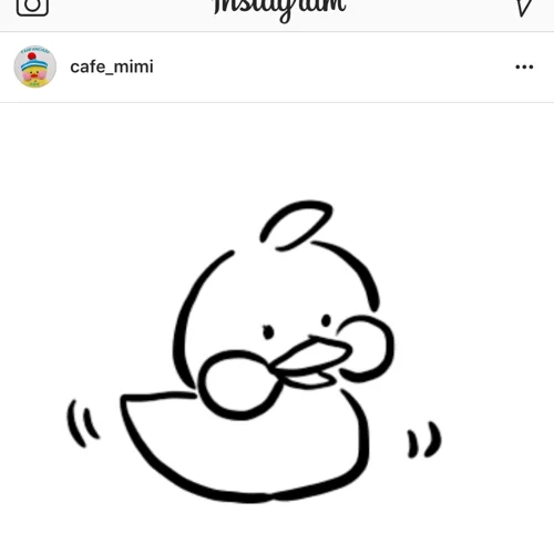 삐꾹