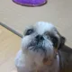 울광