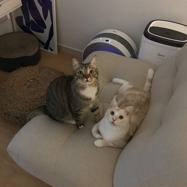 샤롱짱