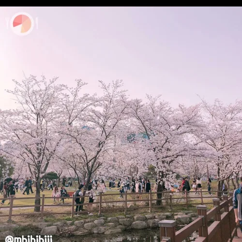 날리