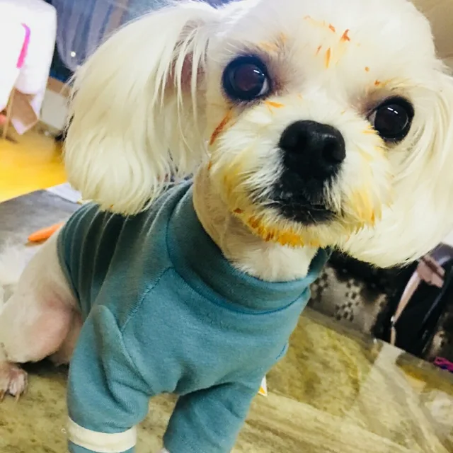 뚜뚜맘