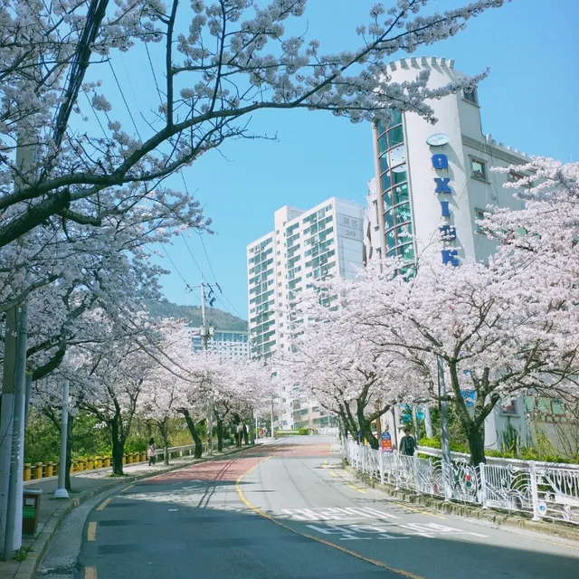 용용