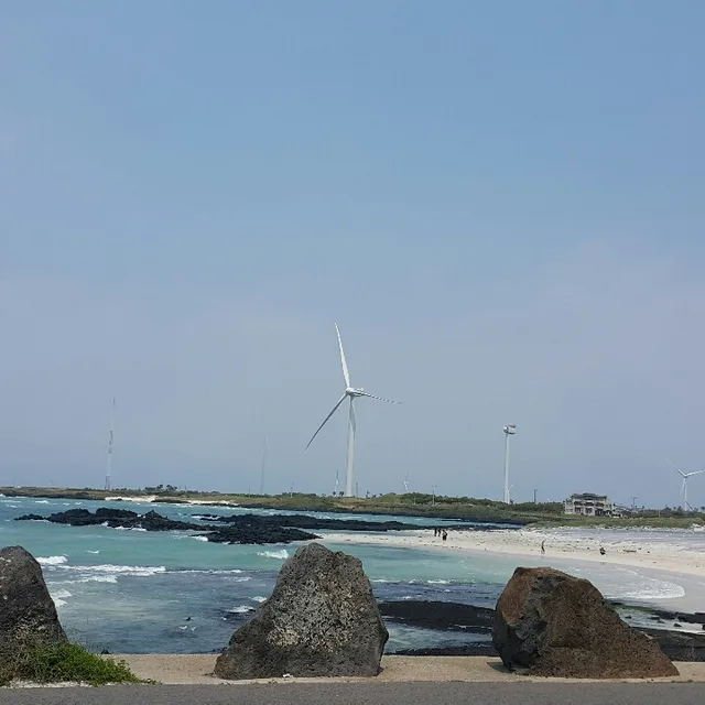 올리브