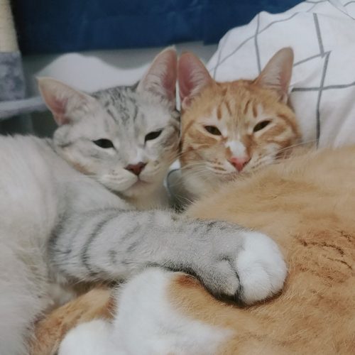 리뷰 프로필 이미지