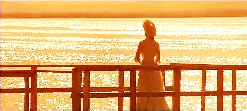 조중동폐간
