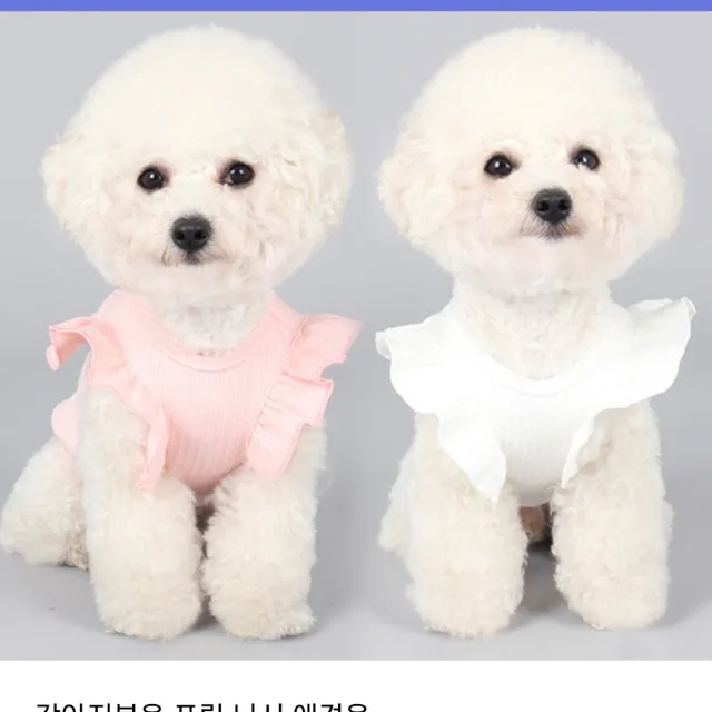 순이네