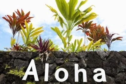 ALOHA