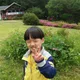 해바라기