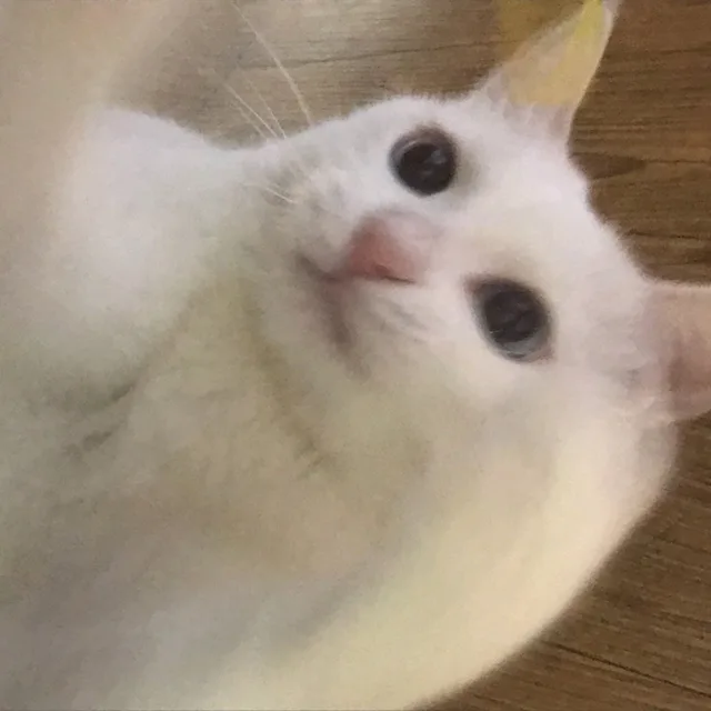 민유한