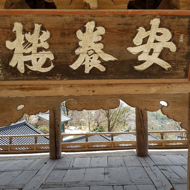 불곰인개포동654