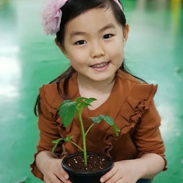 홍기