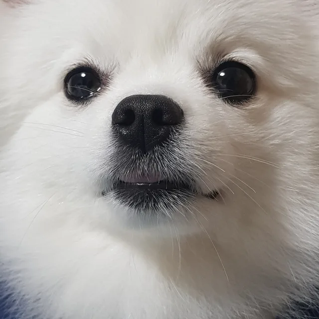 구름맘
