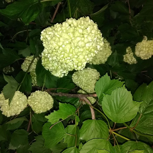 모두다같이