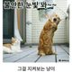 닉네임1