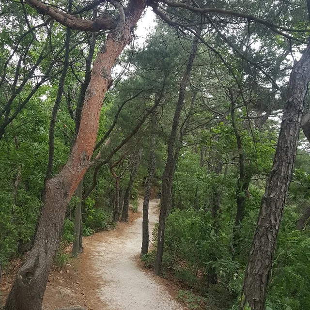 중전
