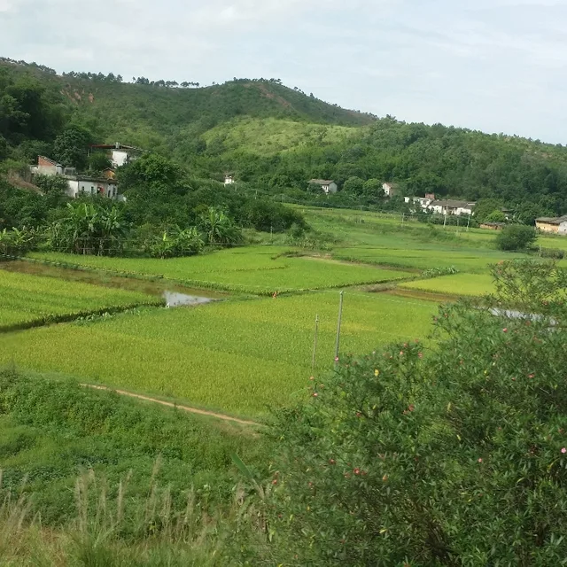 푸른바람