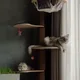 애징이