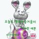 소나무원