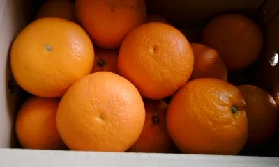 짜룽이