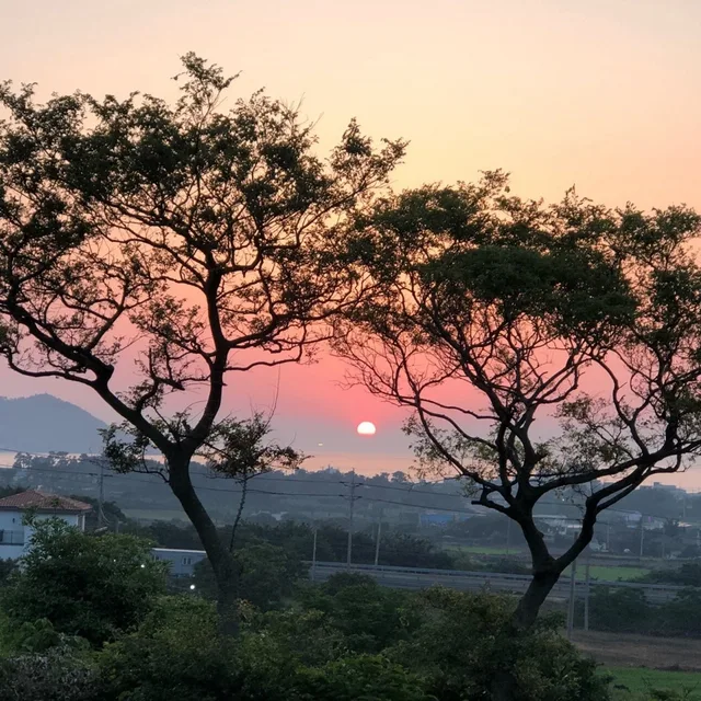 리베