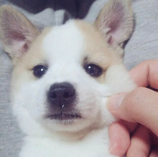 좋은하루