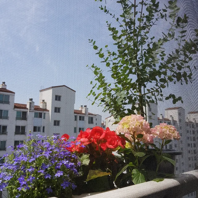 바토